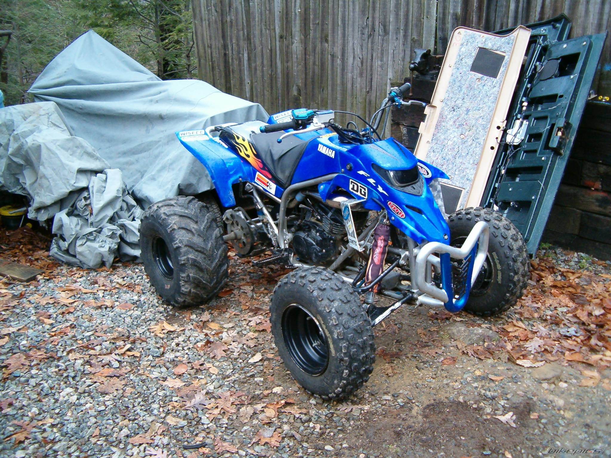 Photo 259927