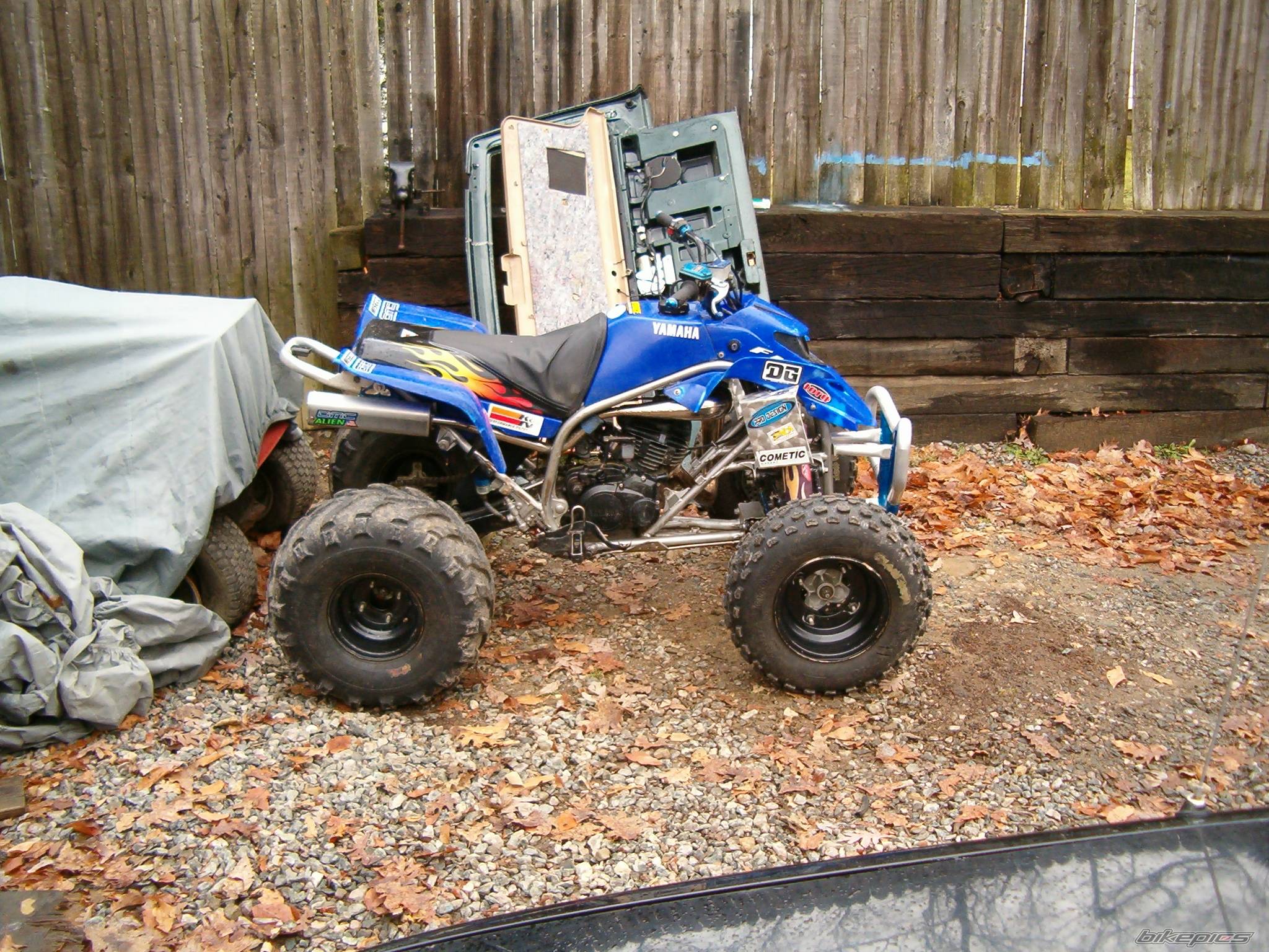 Photo 259928