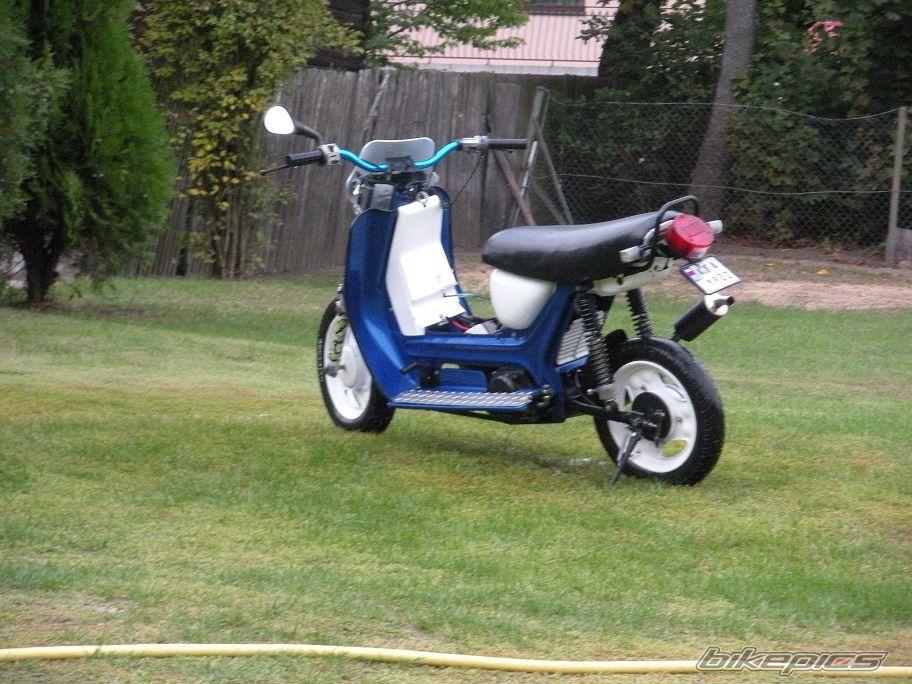 Photo 2599307