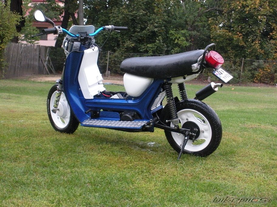 Photo 2599308