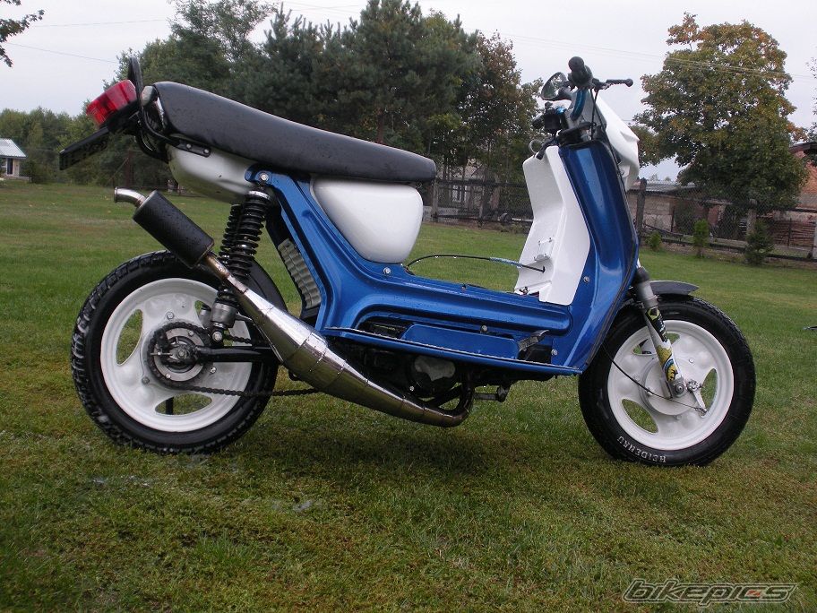 Photo 2599309