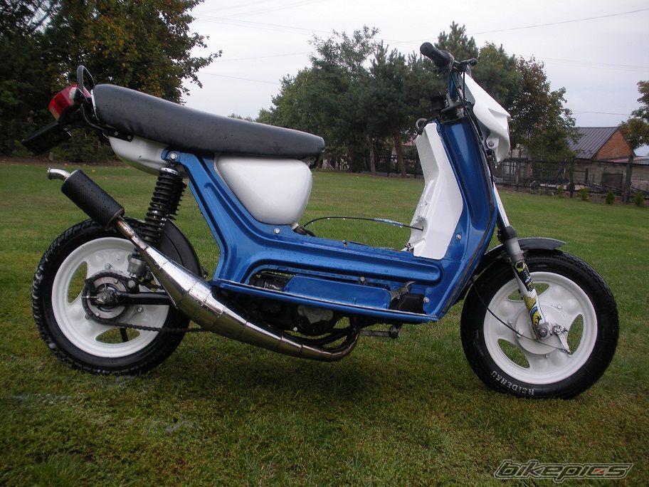 Photo 2599311