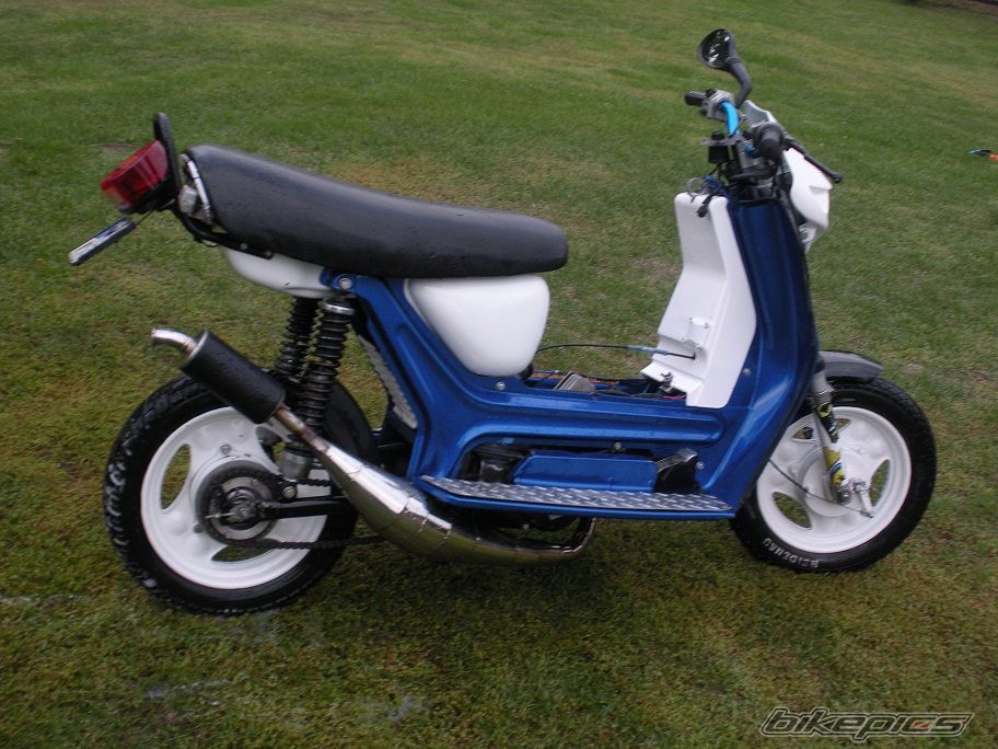 Photo 2599312