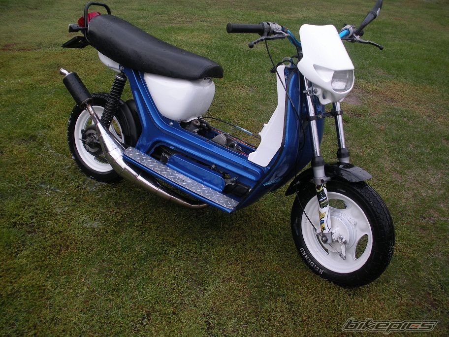 Photo 2599313