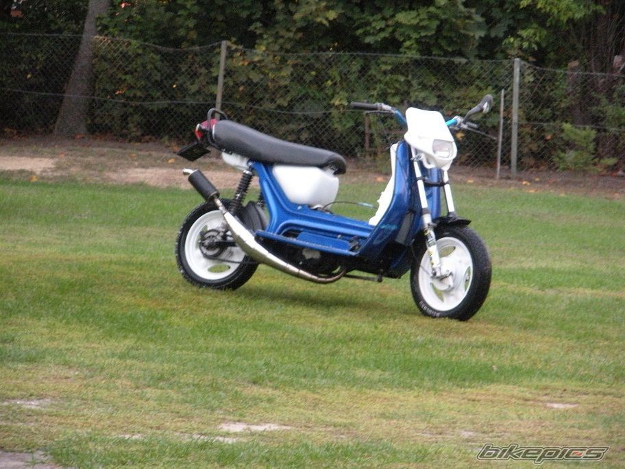 Photo 2599317
