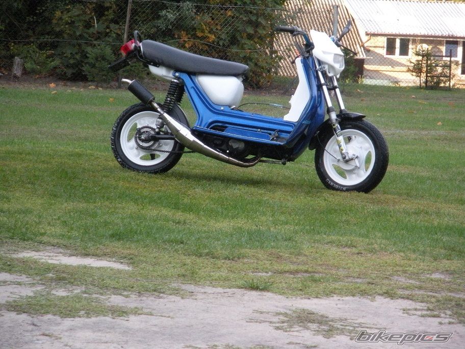Photo 2599318