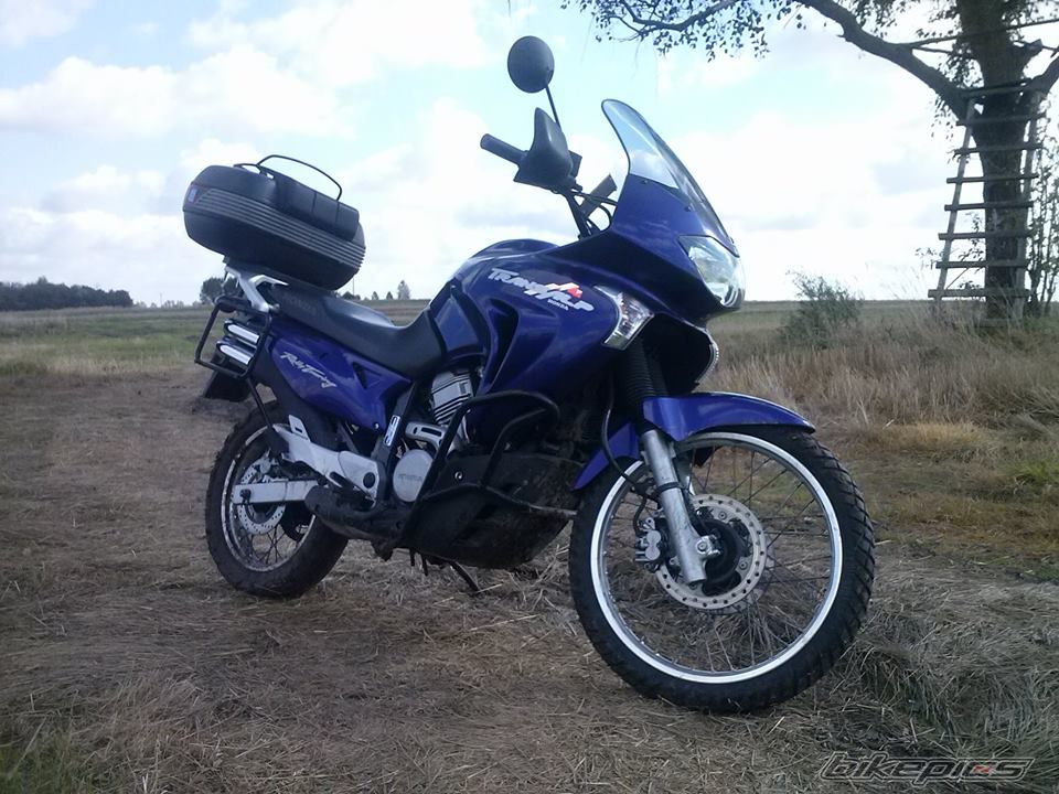 Photo 2599455