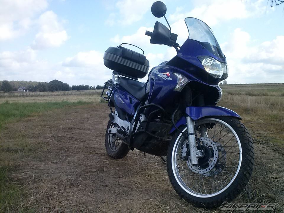 Photo 2599457