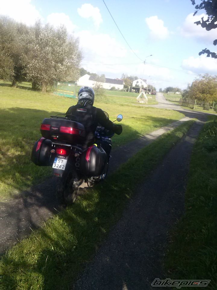 Photo 2599458