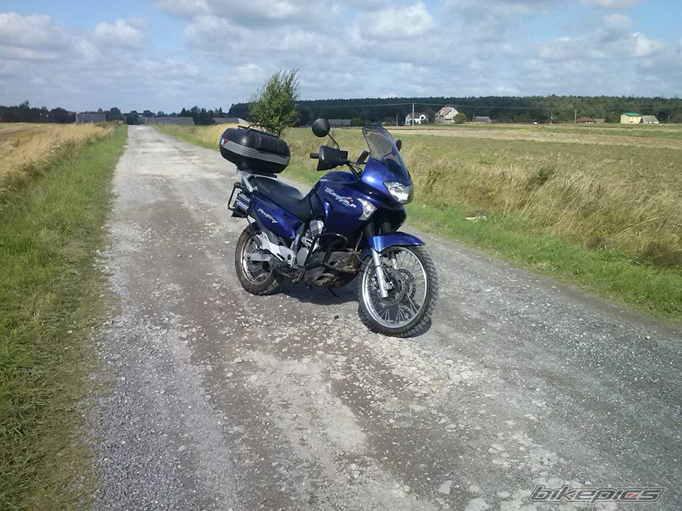 Photo 2599460
