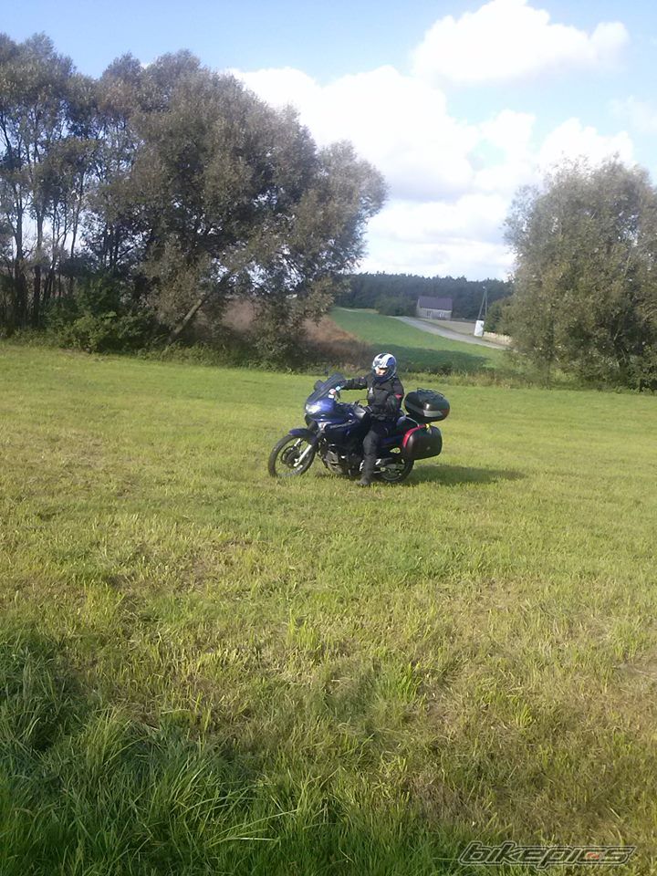 Photo 2599463