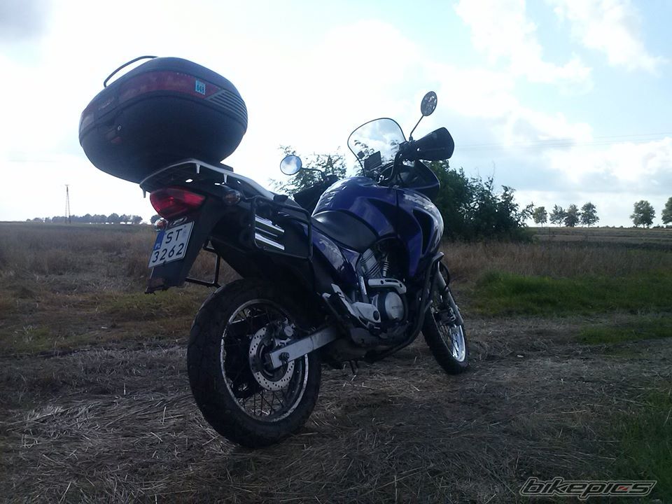 Photo 2599466