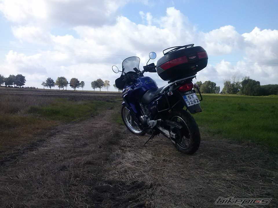 Photo 2599467
