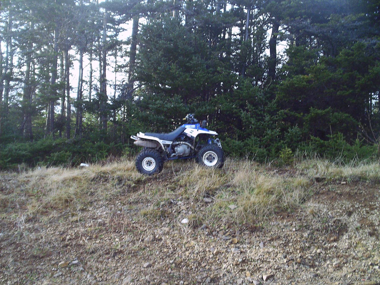 Photo 259948