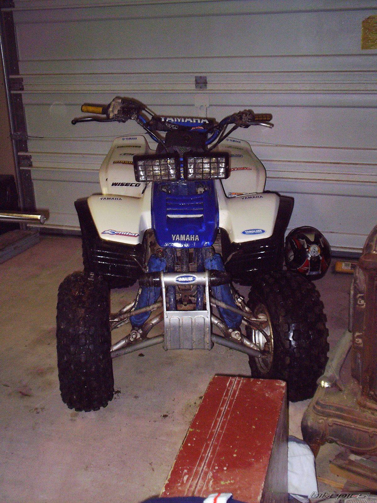 Photo 259949