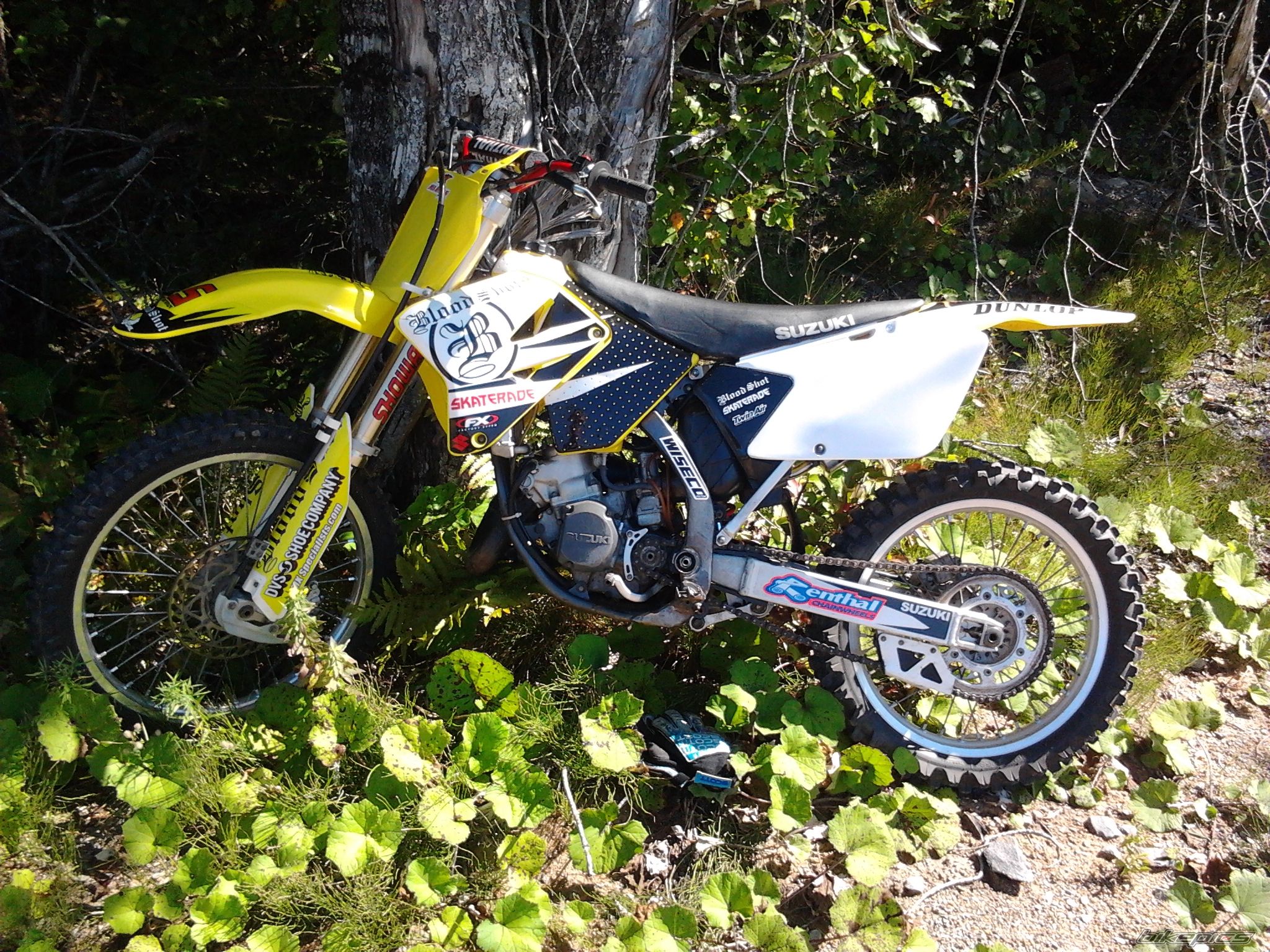 Photo 2599616