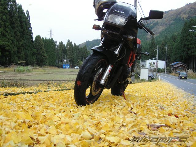 Photo 2599622