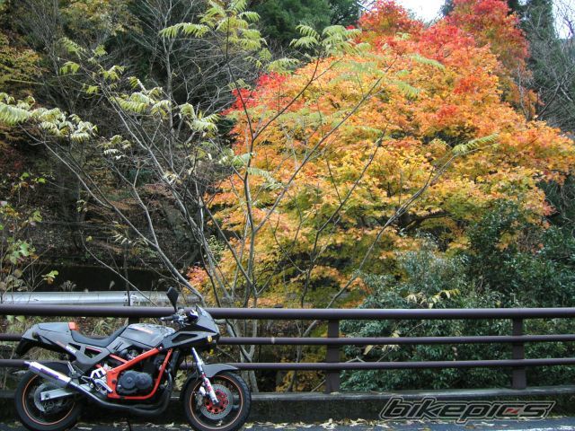 Photo 2599623