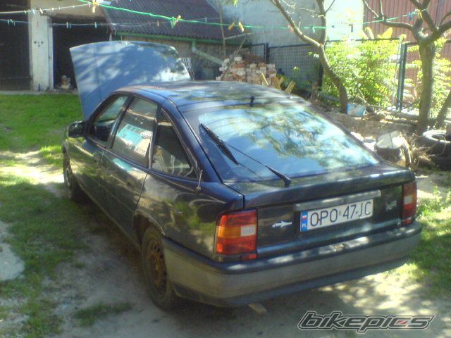 Photo 2599643