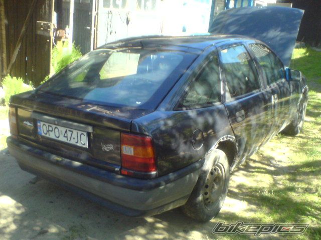 Photo 2599644