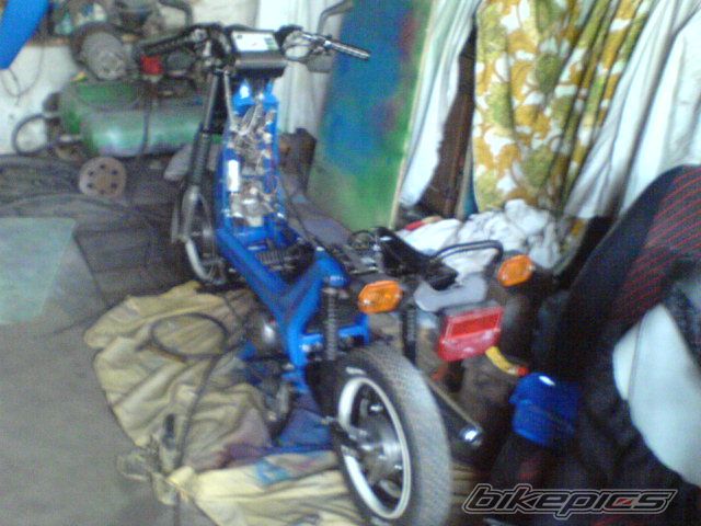 Photo 2599647