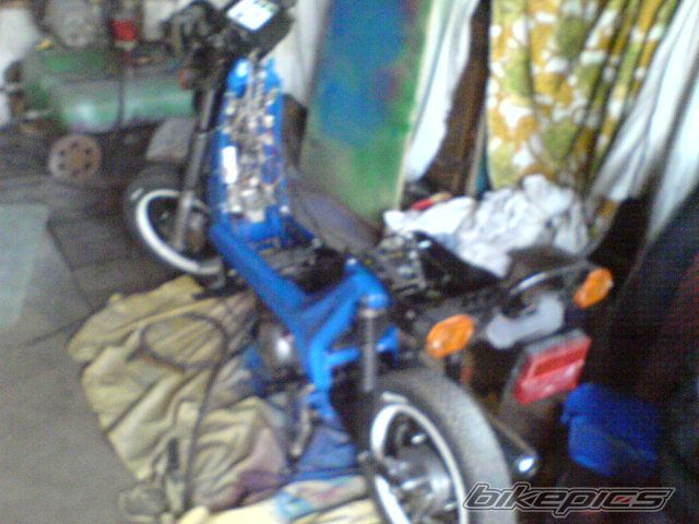 Photo 2599648