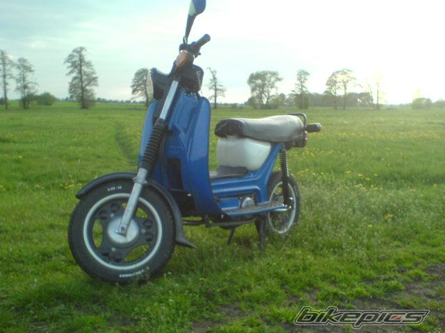 Photo 2599655
