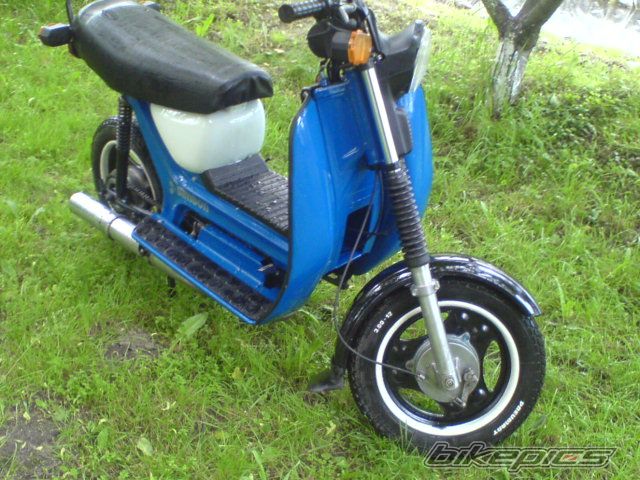 Photo 2599660