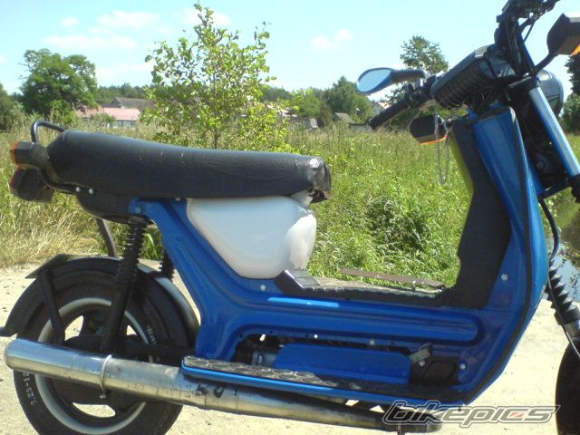 Photo 2599668