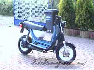 Photo 259974