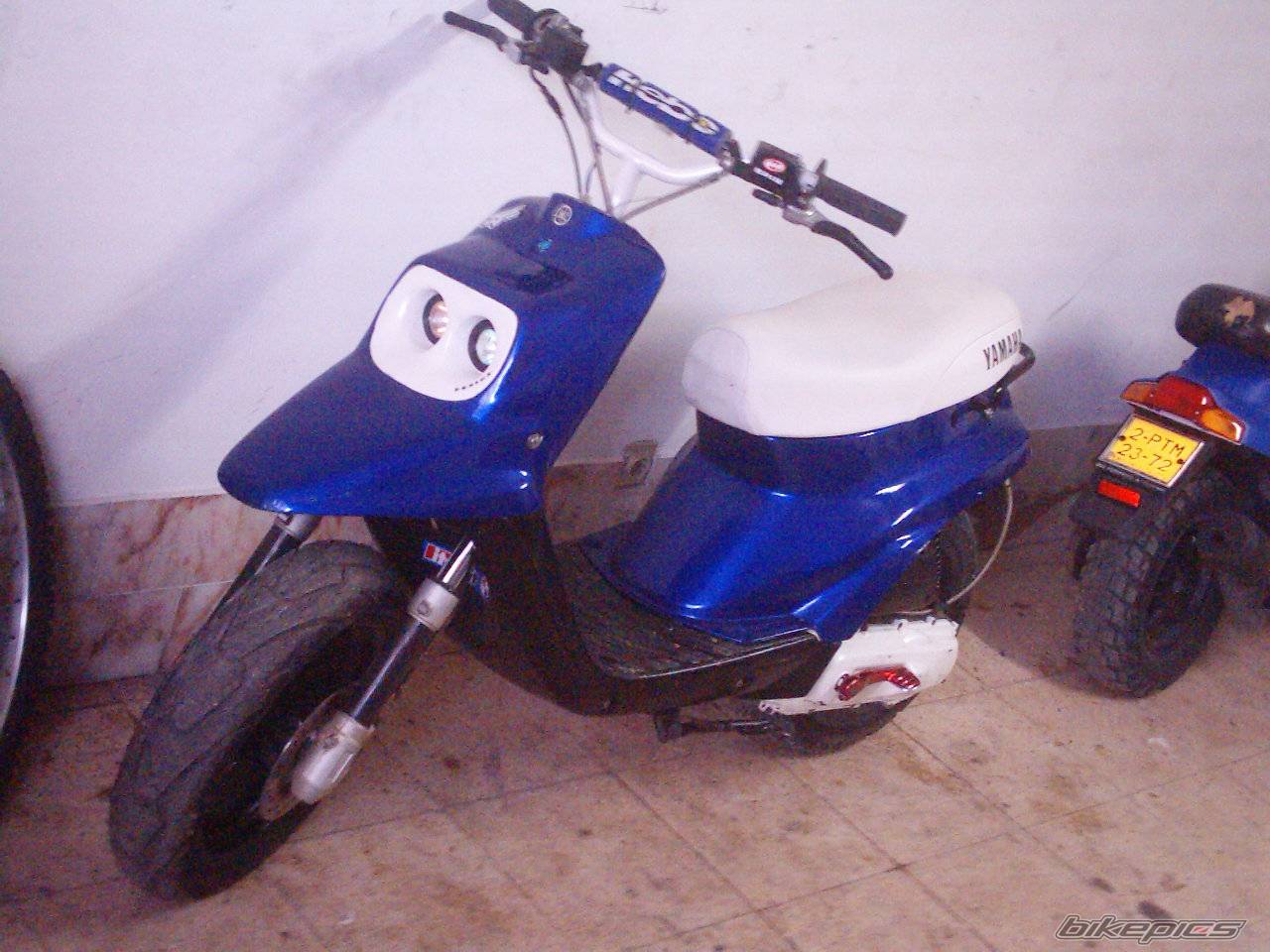 Photo 259988