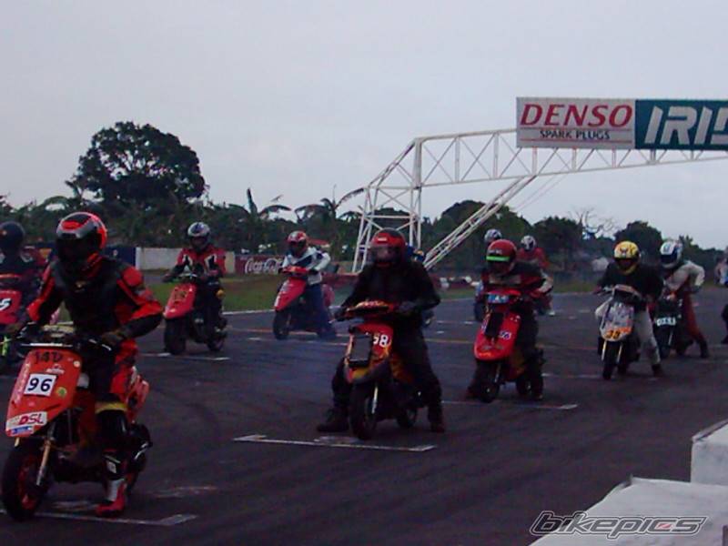 Photo 259989