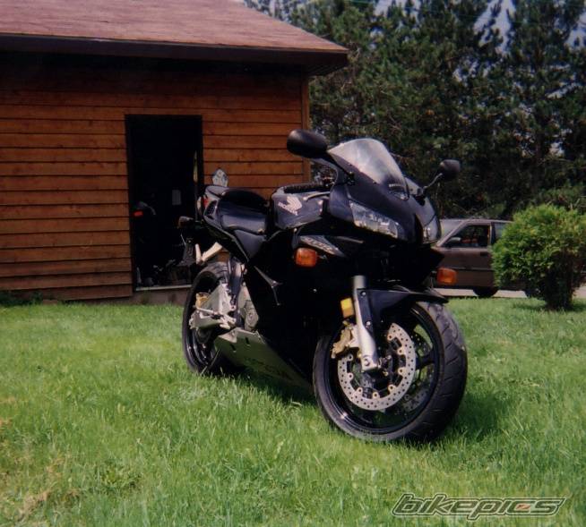 Photo 259993