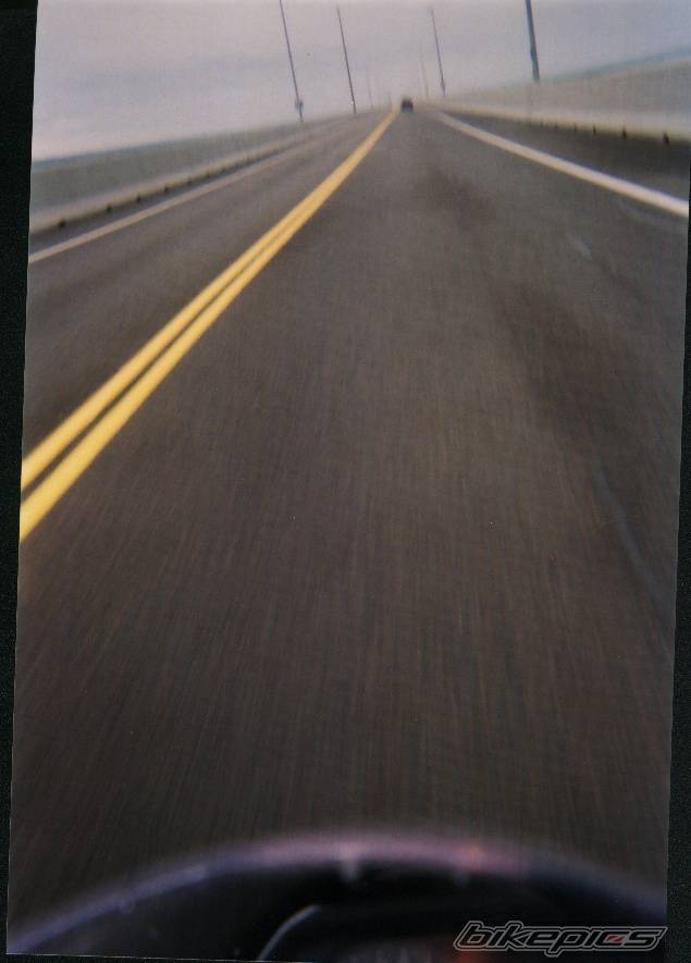 Photo 259996