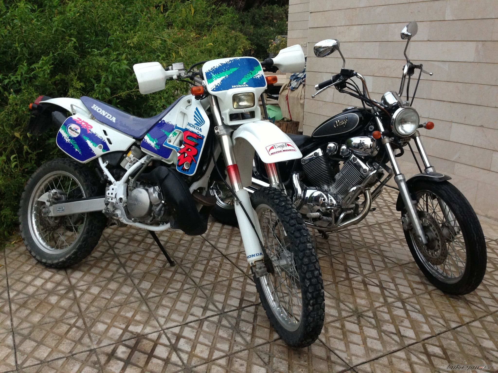 Photo 2600090