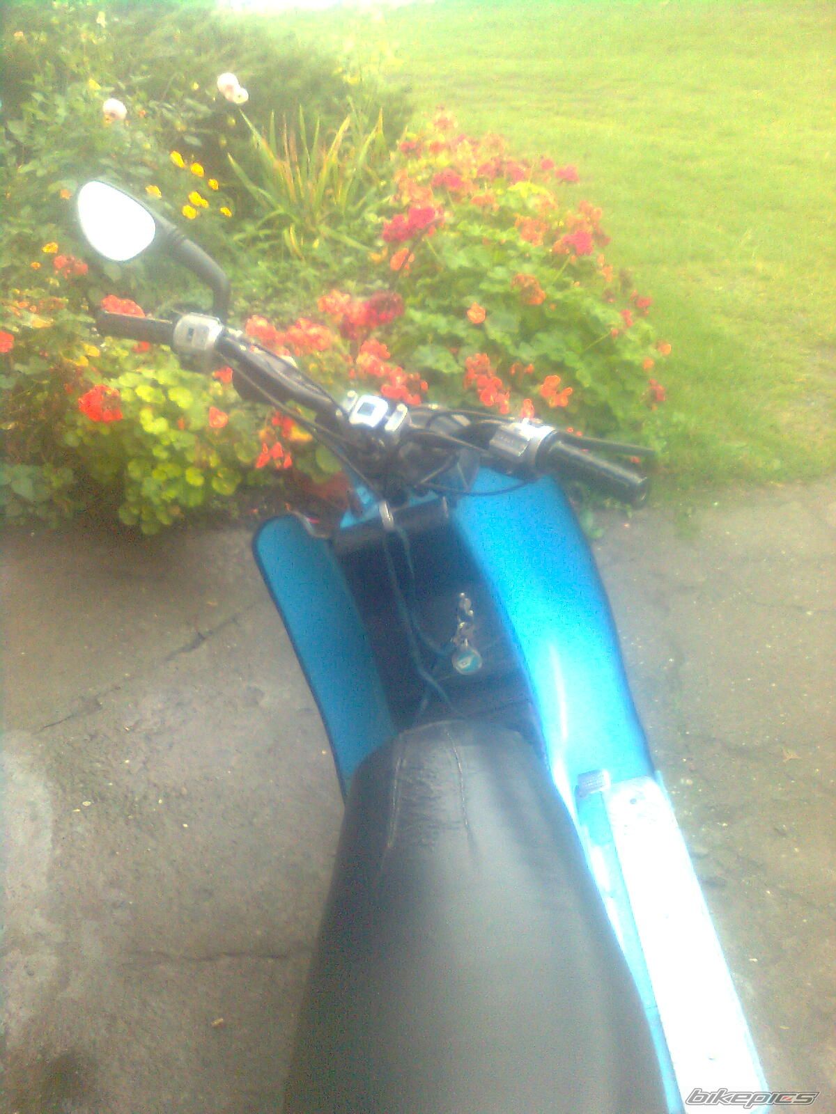 Photo 2600190