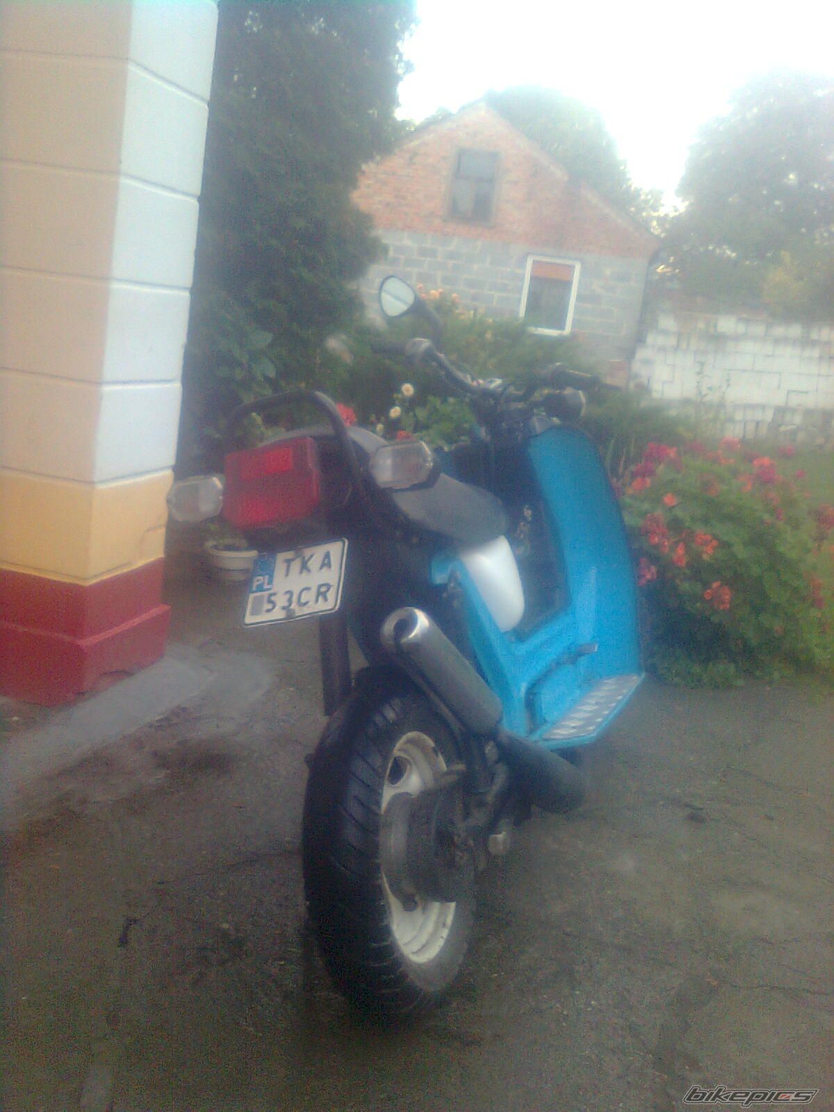 Photo 2600194