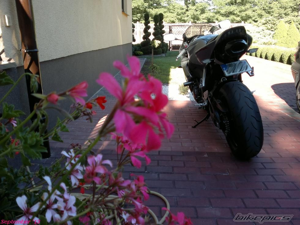 Photo 2600242