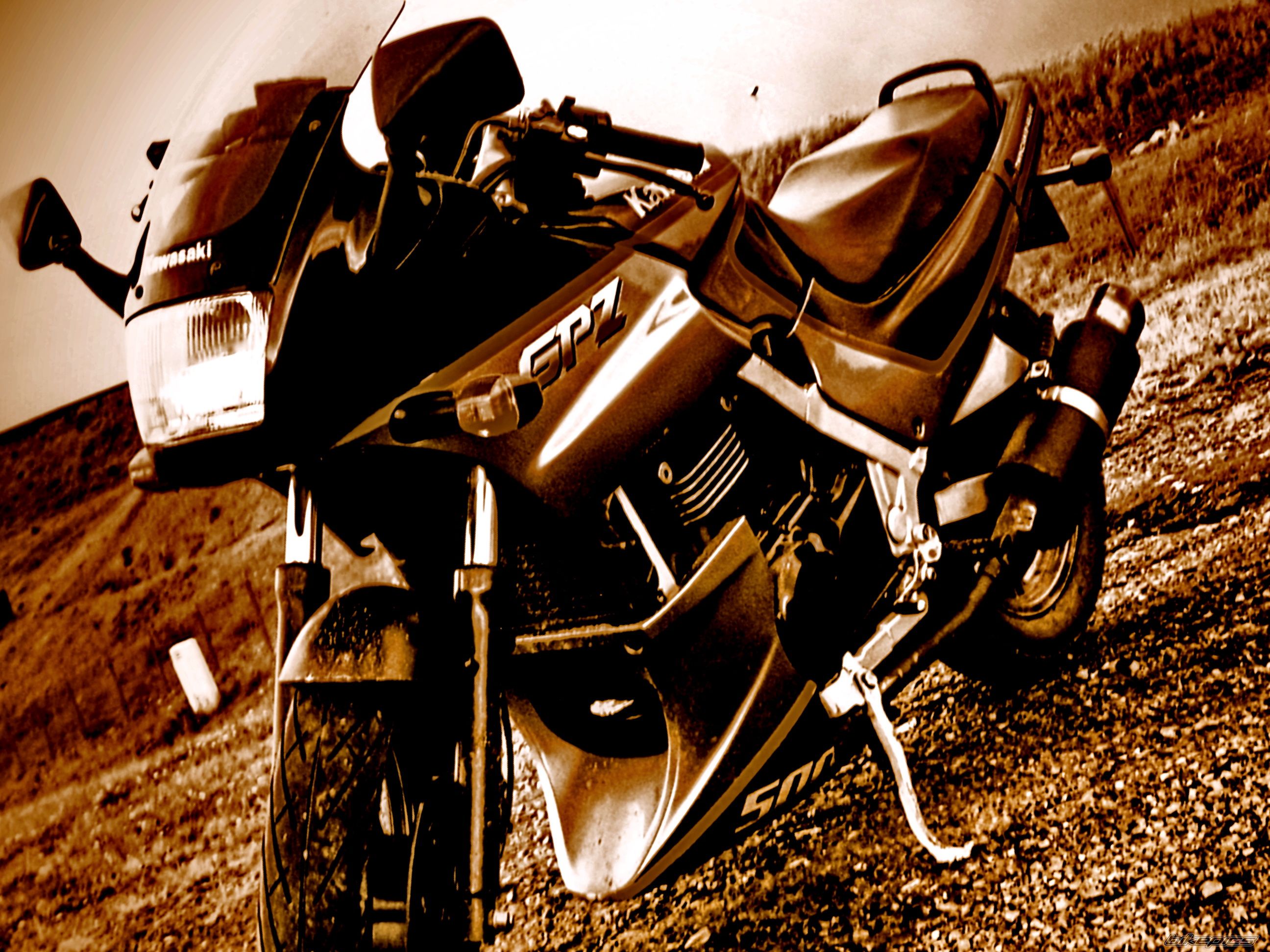 Photo 2600313