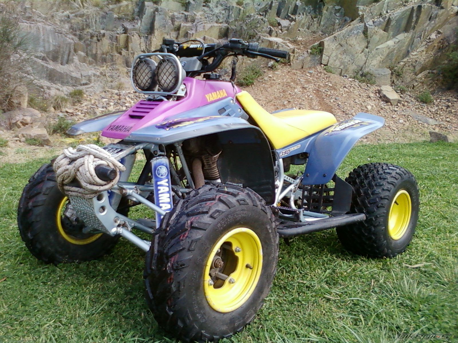 Photo 2600315