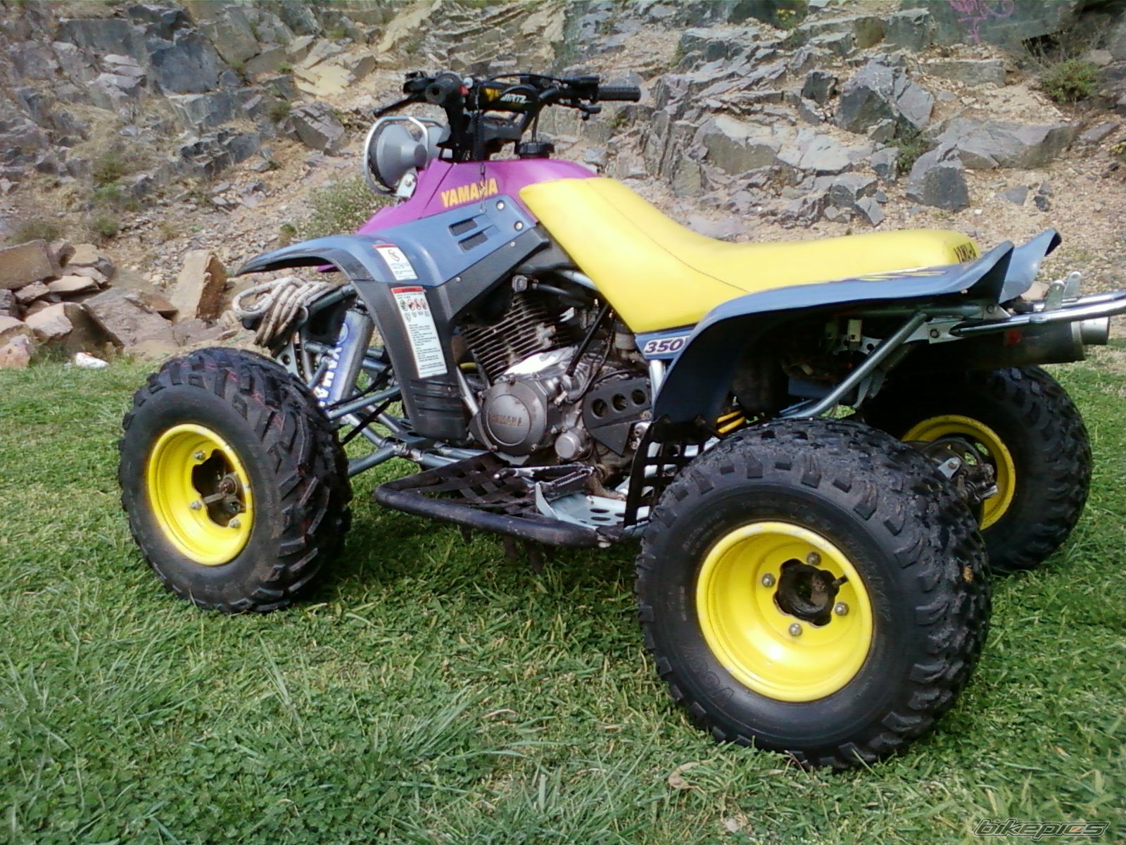 Photo 2600317