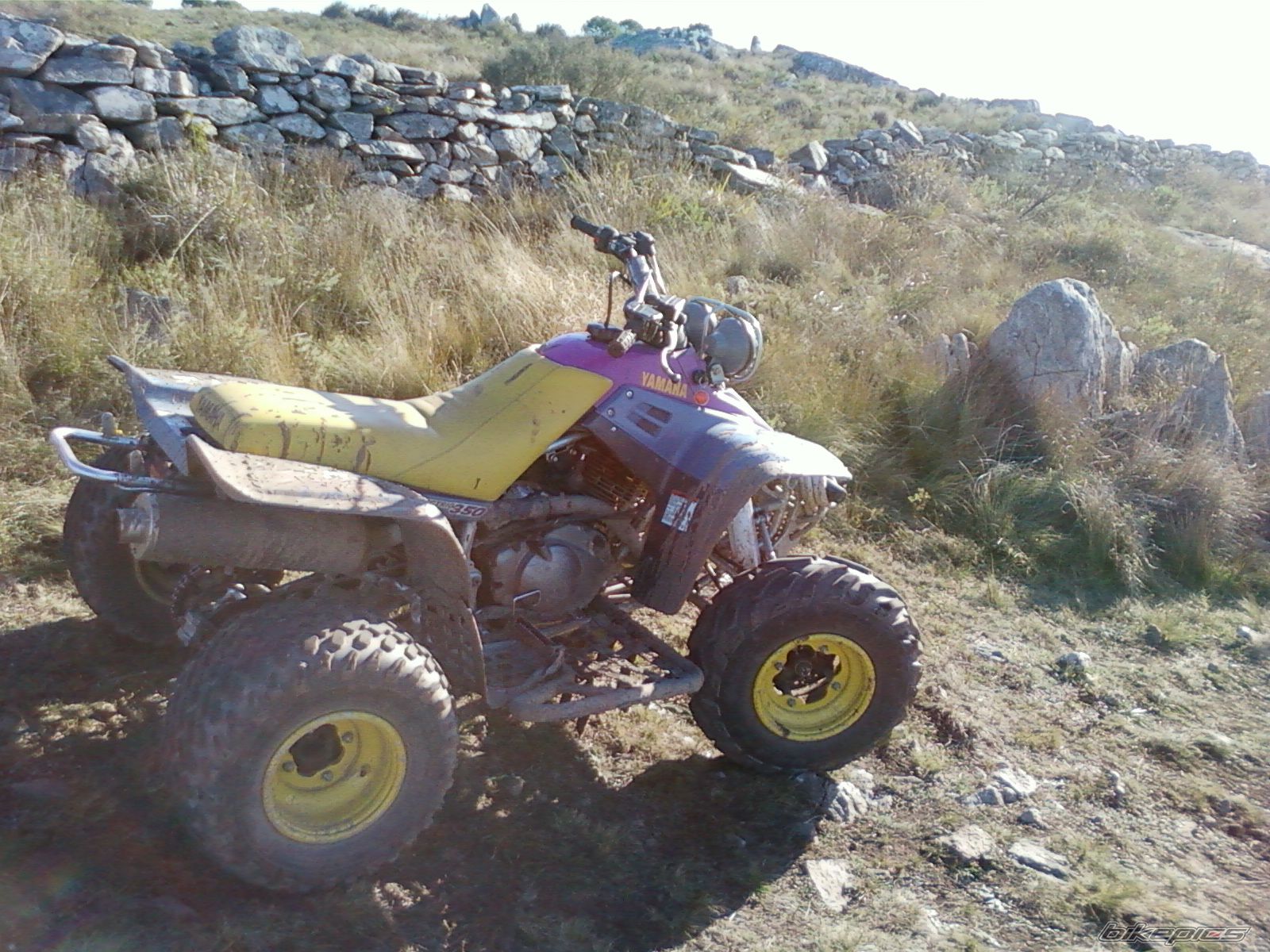 Photo 2600322
