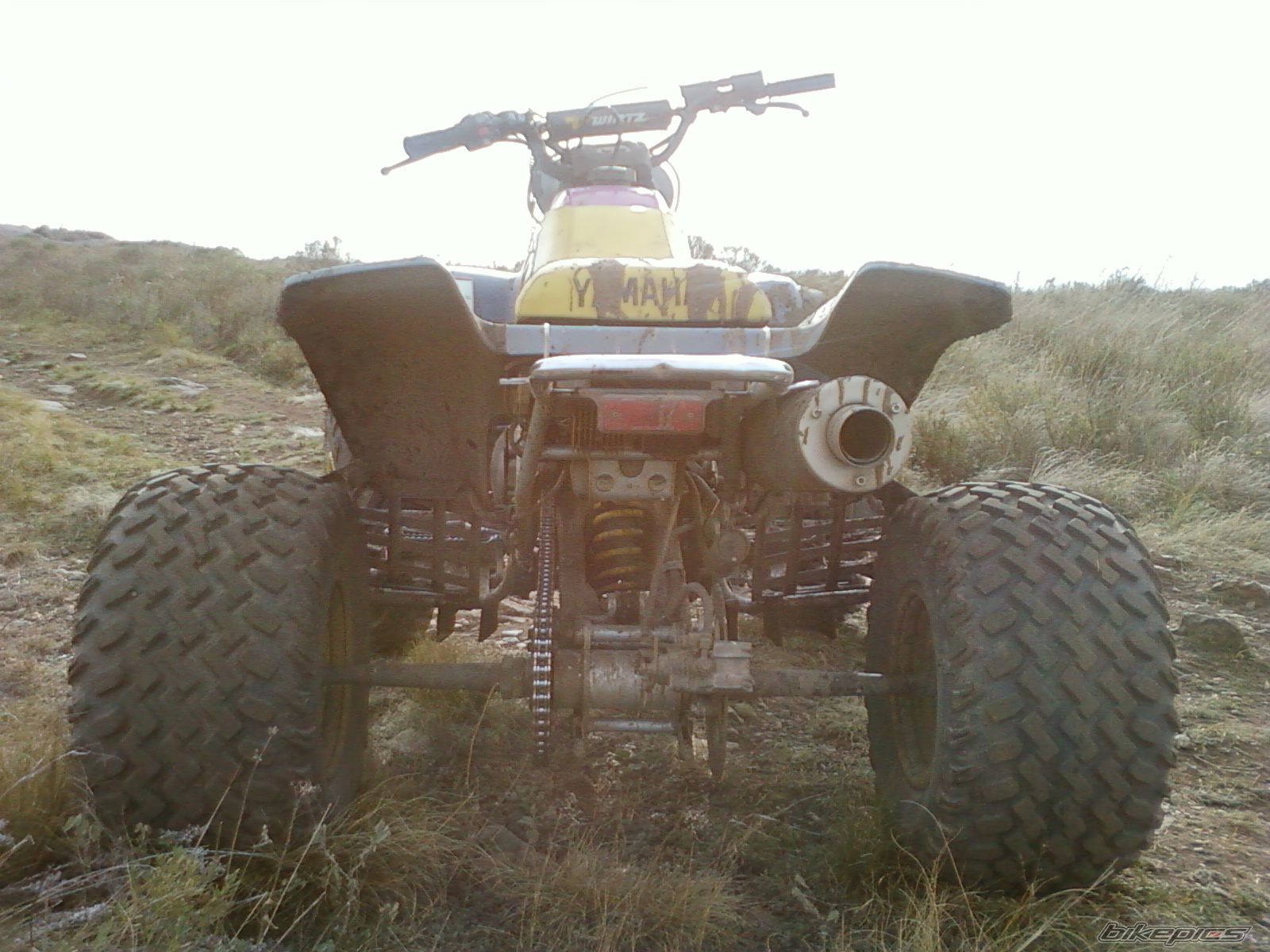 Photo 2600323