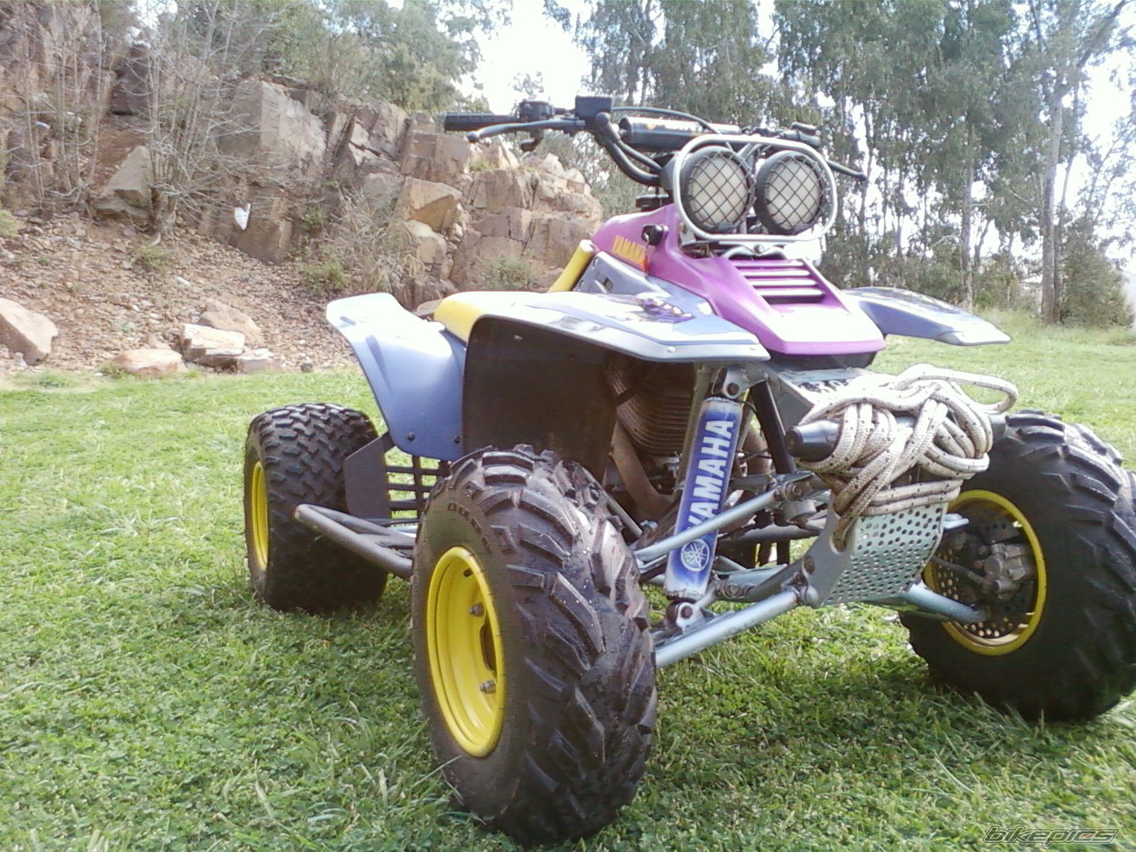 Photo 2600324