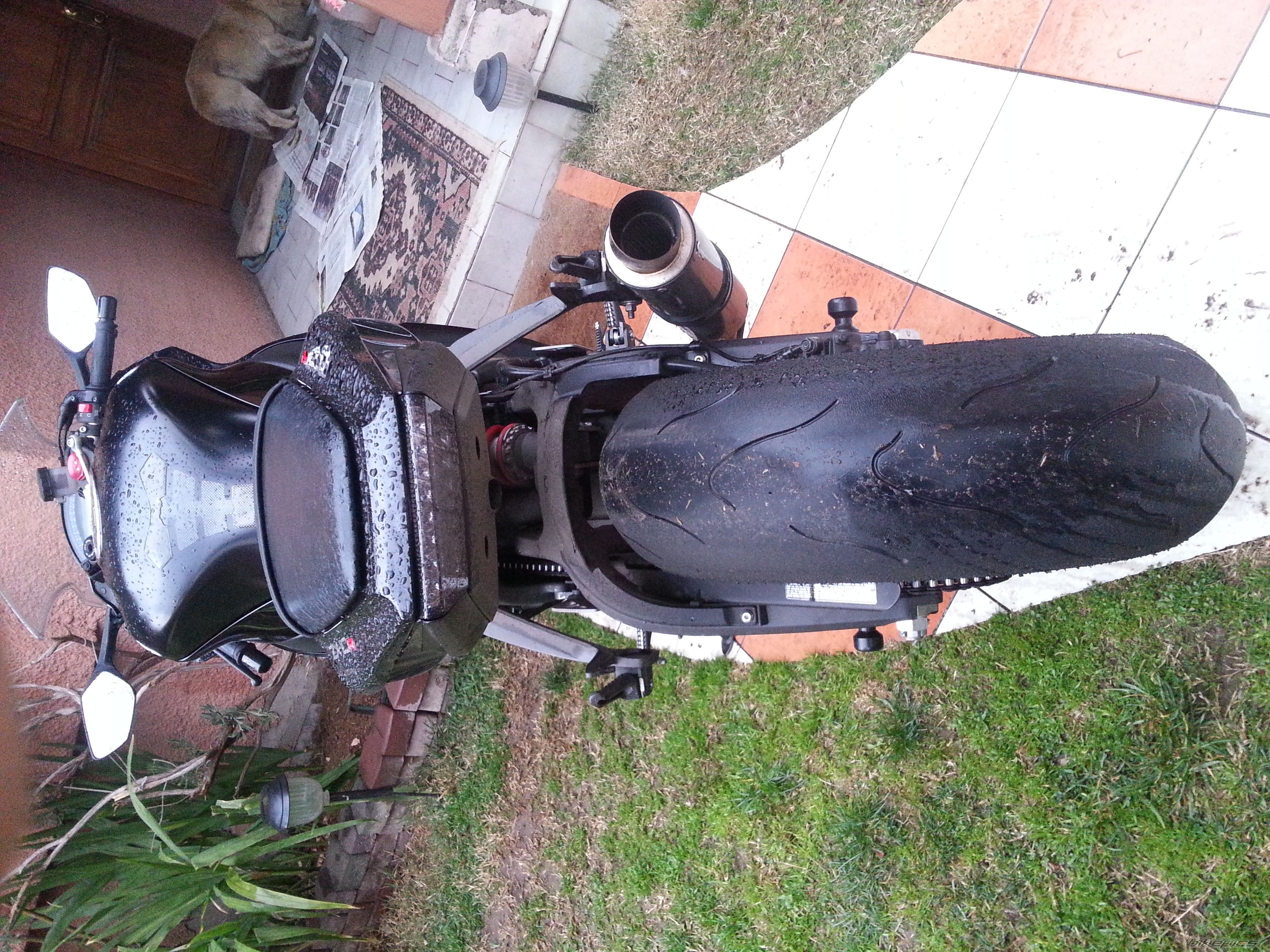 Photo 2600327