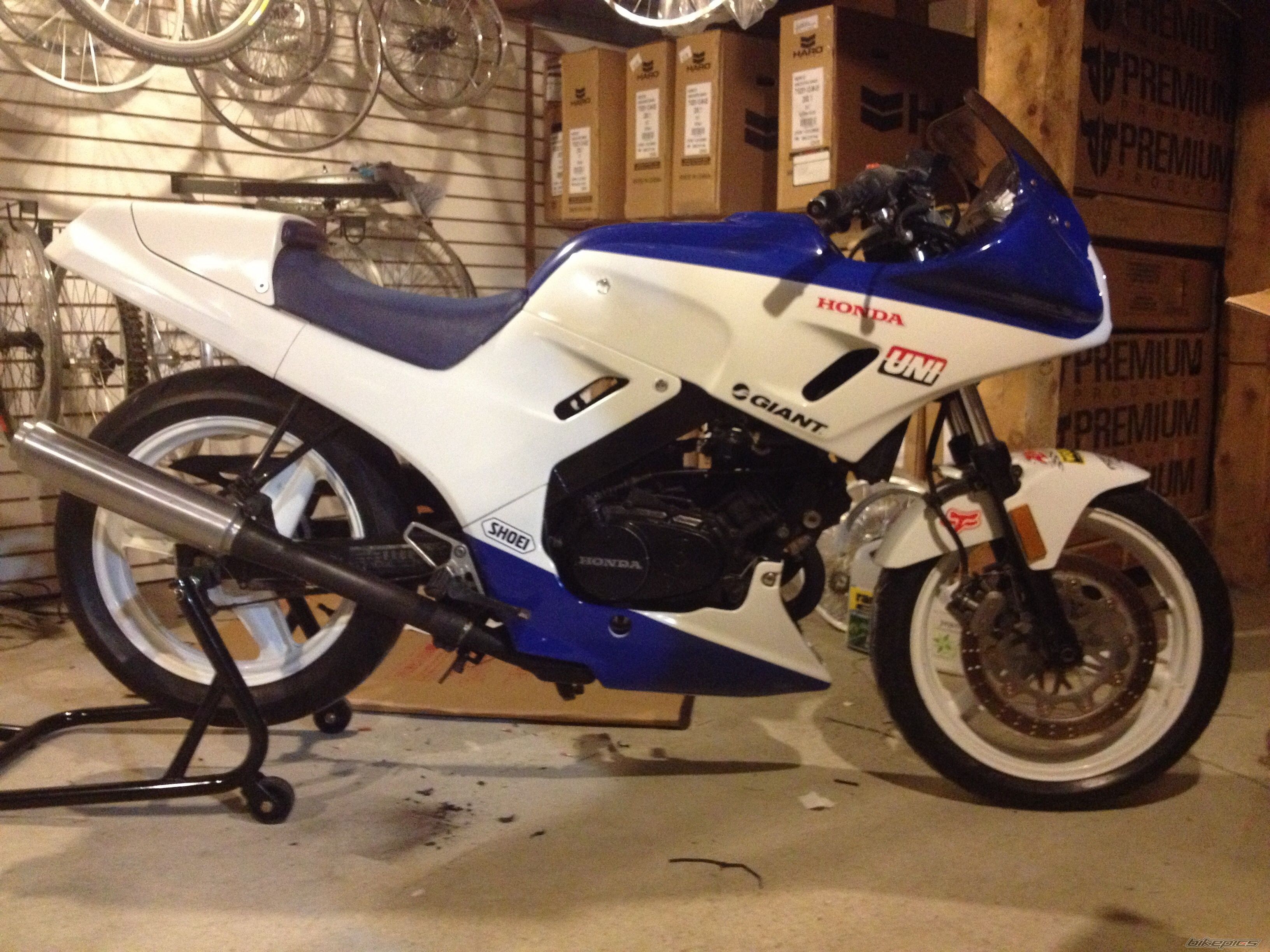 Photo 2600393