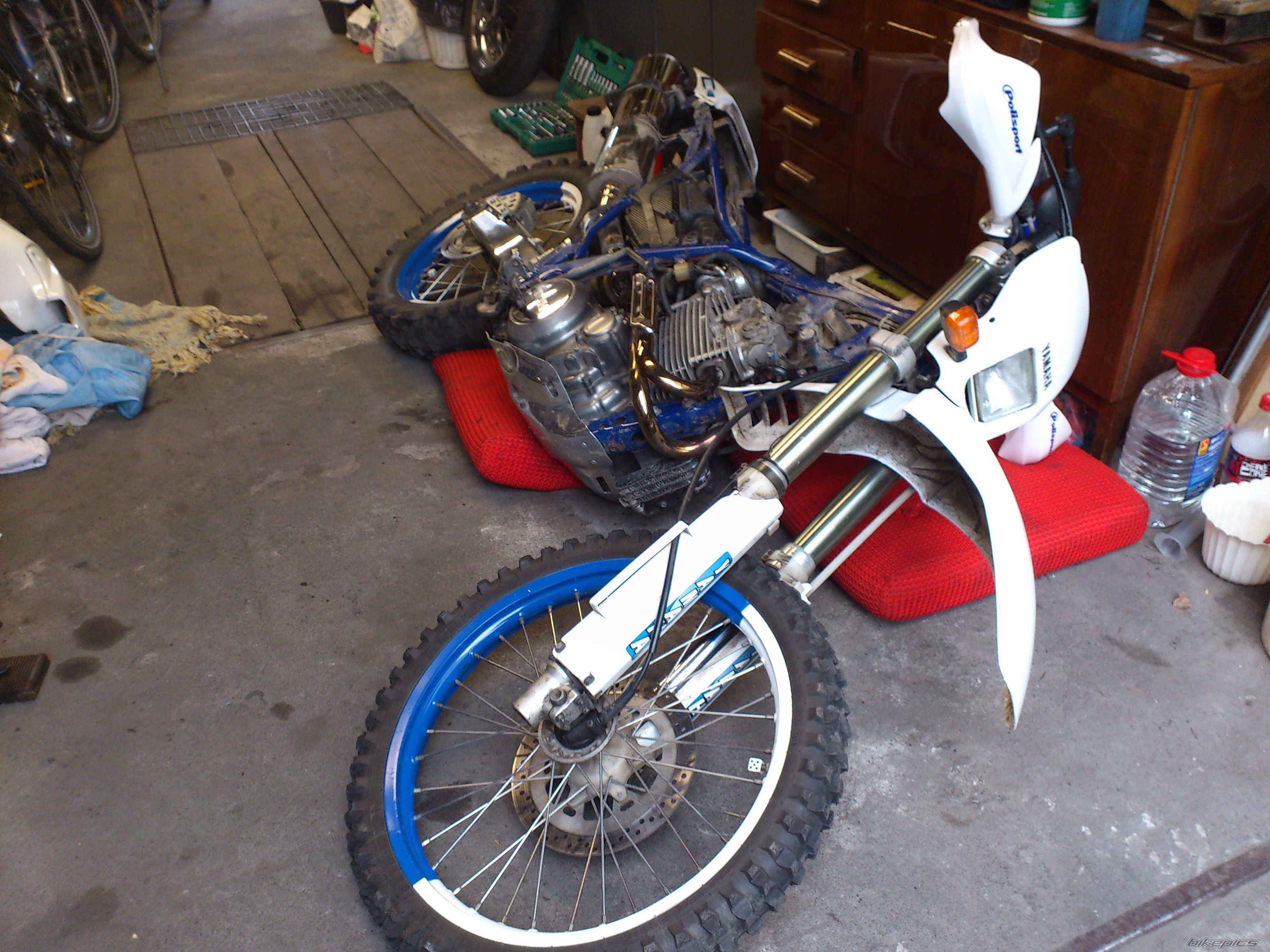 Photo 2600423