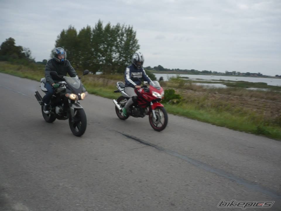 Photo 2600488
