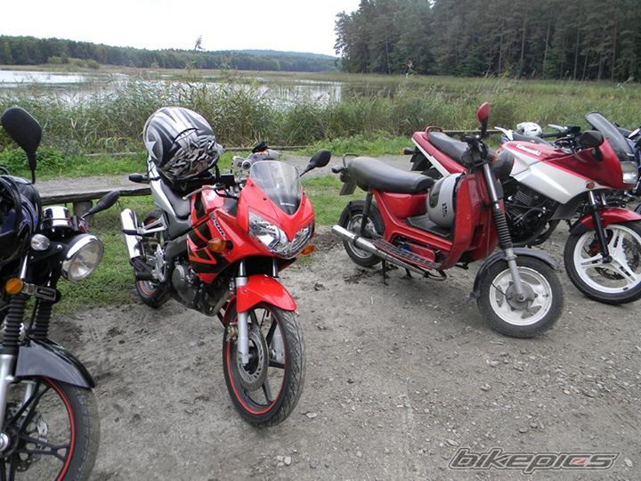 Photo 2600491