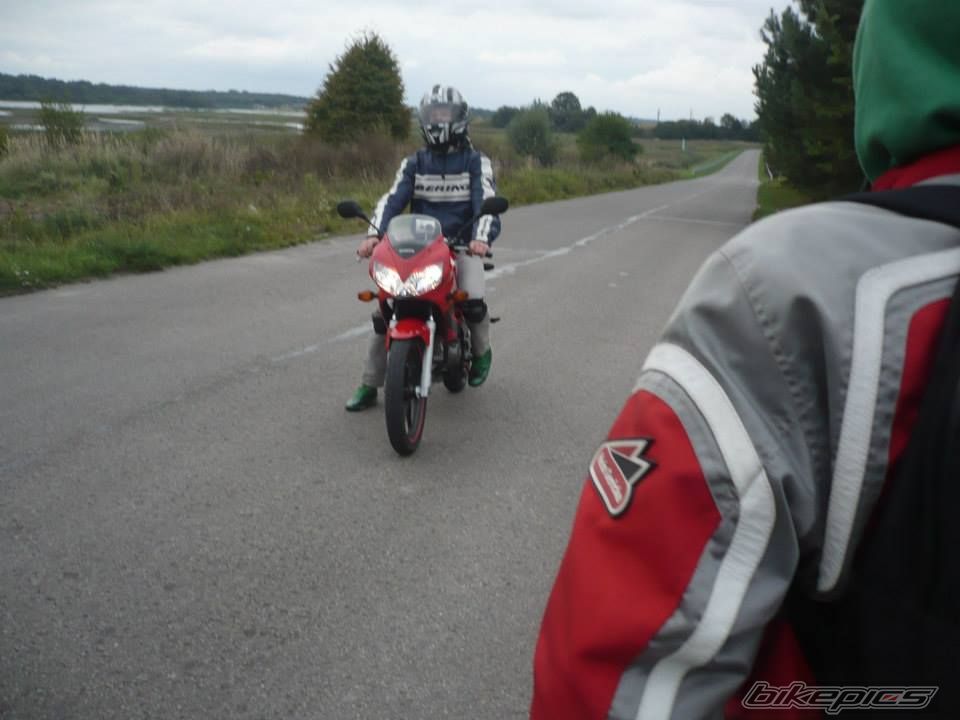 Photo 2600497